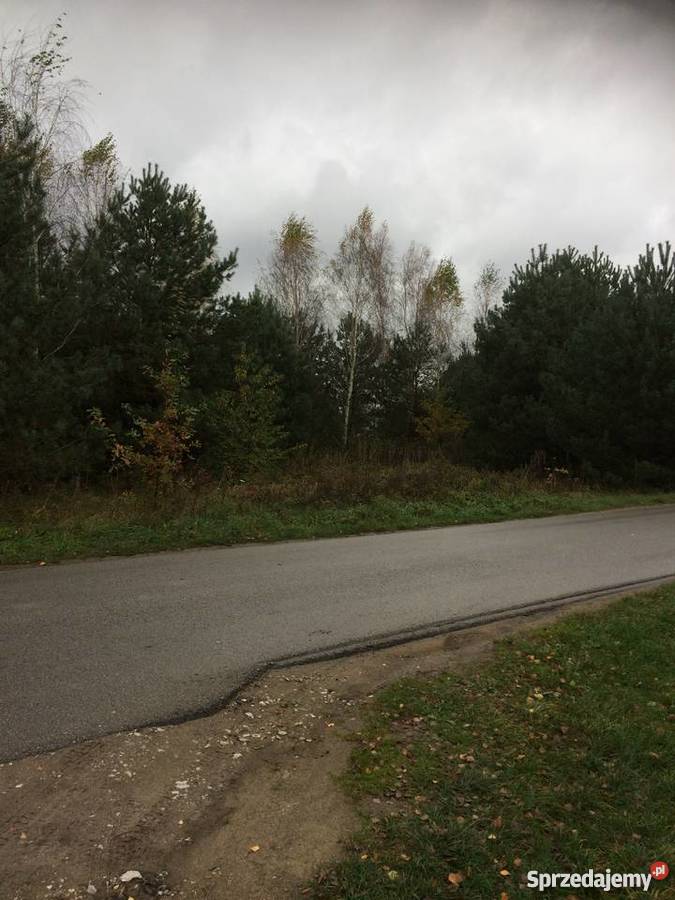 Działki I Siedlisko Jeziorem Zdworskim Matyldów