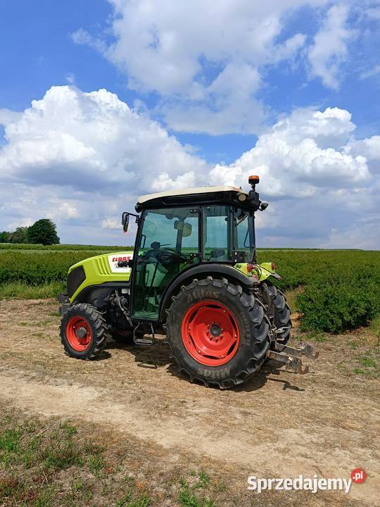 Claas nexos sadowniczy sprzedam