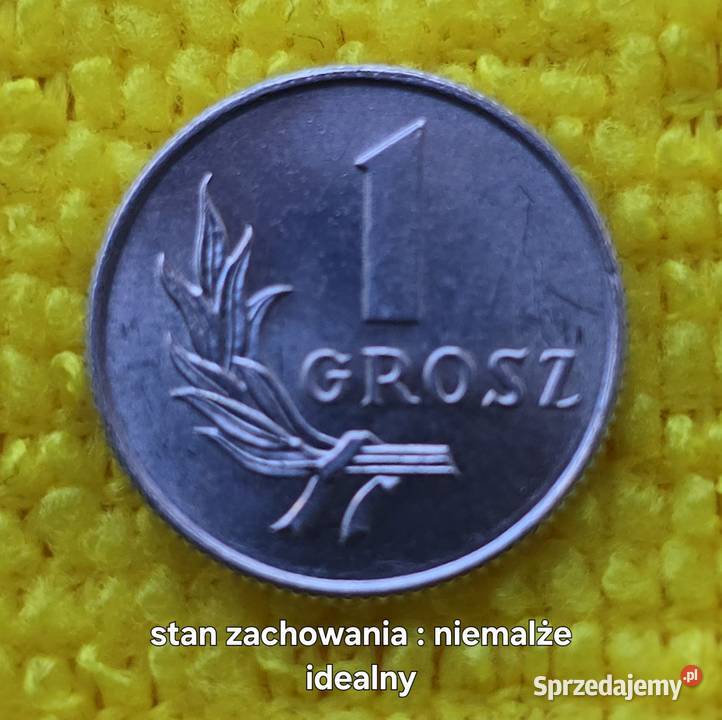 Moneta 1 grosz z 1949r świetny stan zachowania Busko-Zdrój