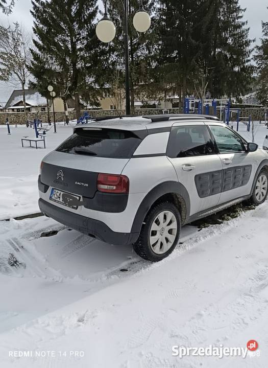Citroen C4 CACTUS nieuszkodzony Sanok