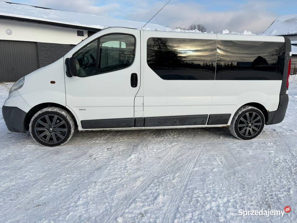 Opel Vivaro 20 dCi 9 osobowy 2009r Stalowa Wola