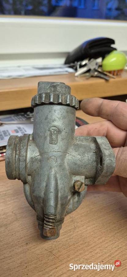 Junak gazela gaznik Tarnowskie Góry