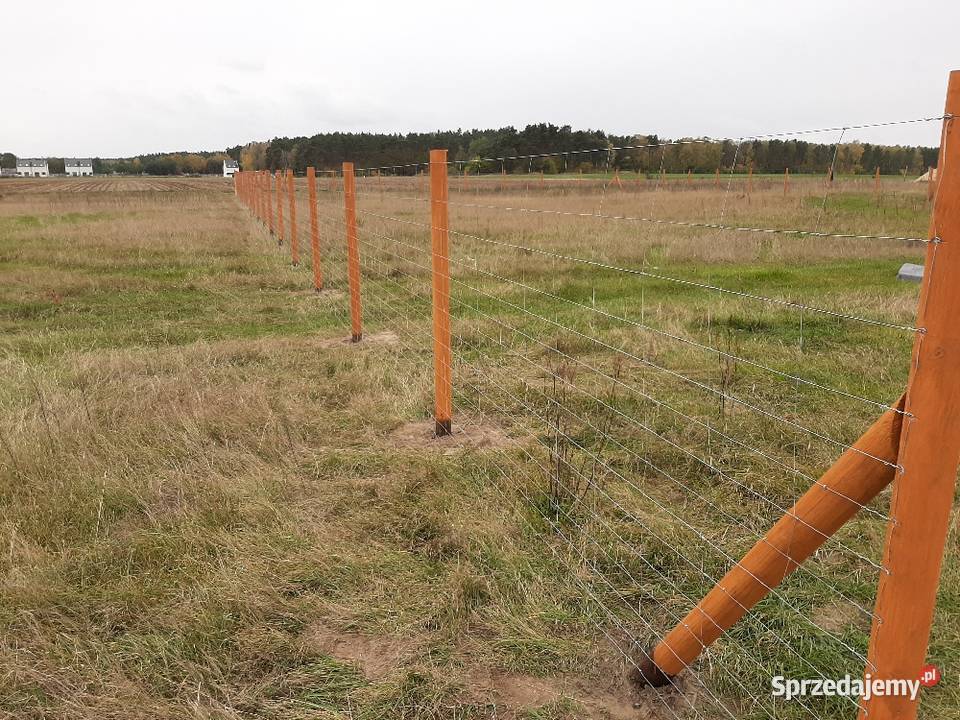 słupki toczone okrąglaki wałki drewniane Leszno sprzedam