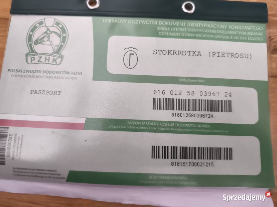 Źróbka huculska Bokinka Pańska