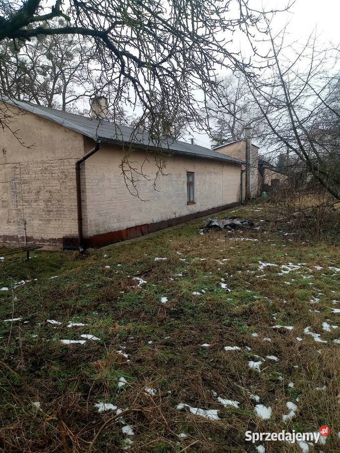 Dom w atrakcyjnym miejscu 3550m2 Proboszczowice