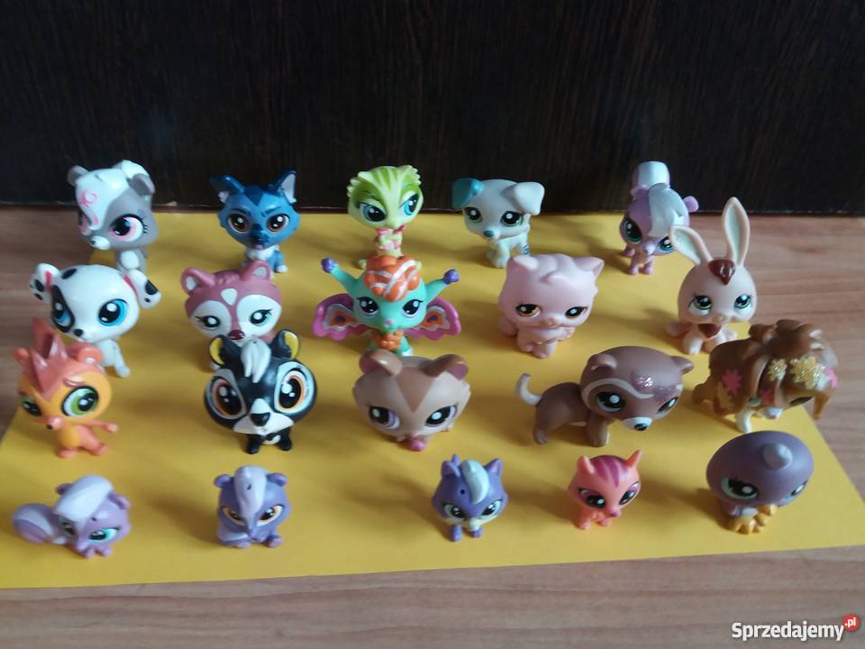 Littles Pet shopy z mebelkami Kielce sprzedam