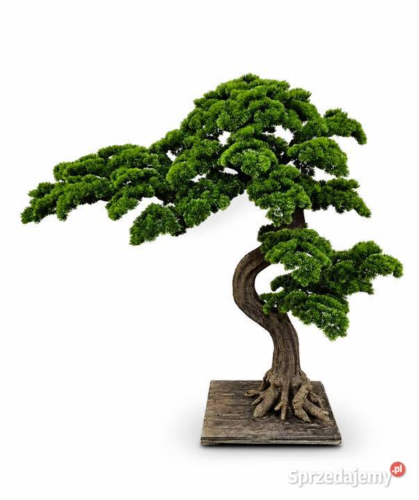 Sztuczne drzewko bonsai 180 x 210 nowoczesna Sztuczne kwiaty i owoce Wyposażenie wnętrz Golkowice