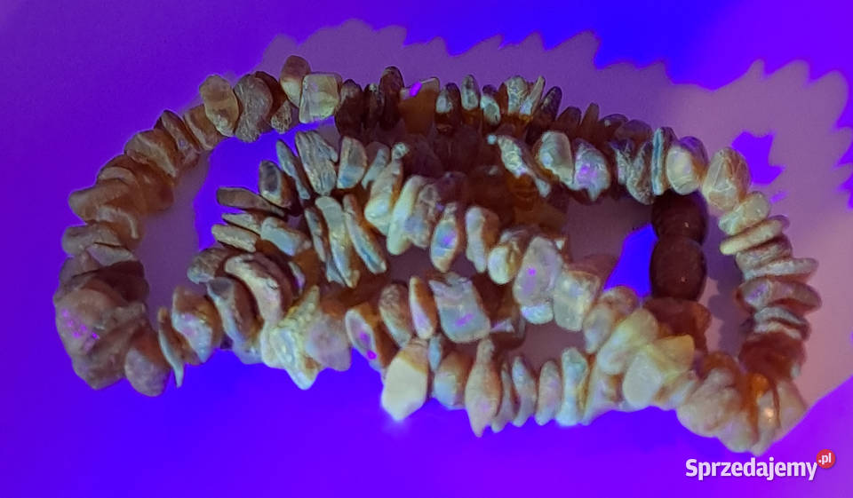 Korale z bursztynu BURSZTYN bałtycki sieczka