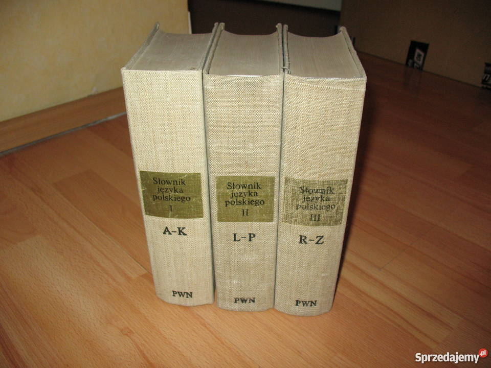 Słownik języka polskiego PWNT13 Chorzów