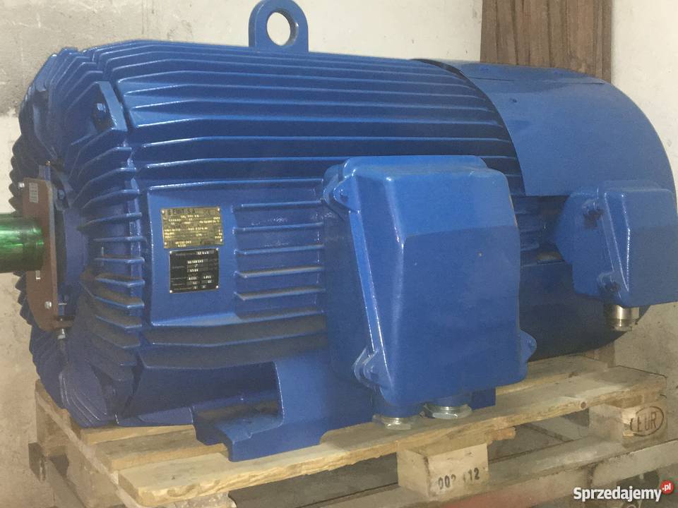 Silnik elektryczny trójfazowy indukcyjny pomorskie Pruszcz Gdański