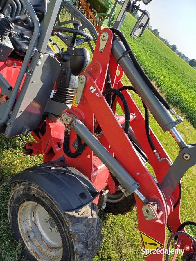 Miniładowarka Weidemann 1240 LP 2019r Ładowacze czołowe Płonne