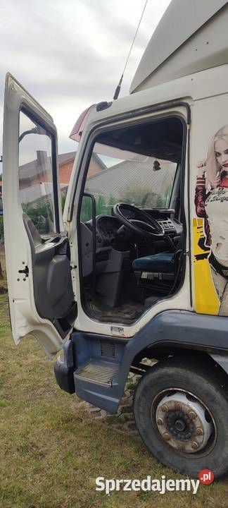 Daf AE45 Domiechowice sprzedam