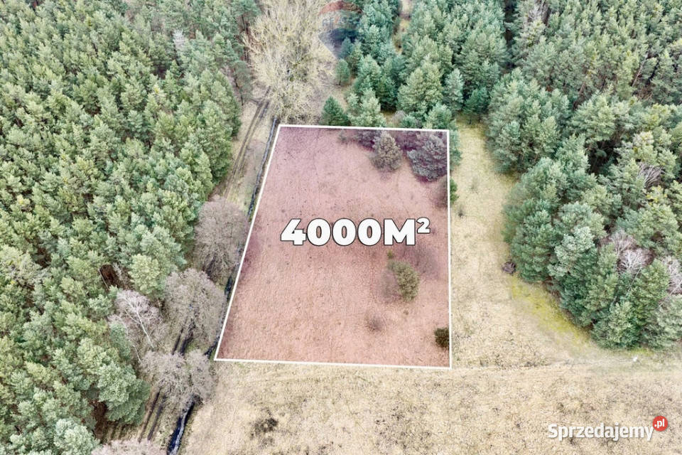 Na sprzedaż działka rolna o pow 4000 m Przytok