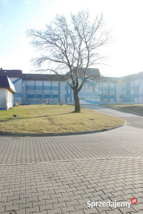 Betonowa kostka TETE sprzedam