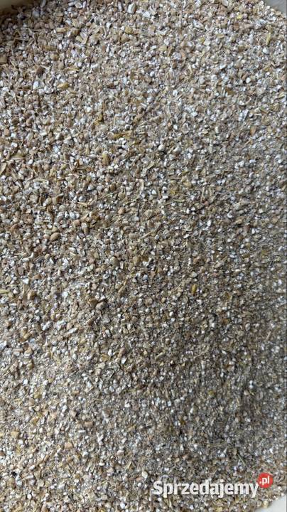 Śrut śruta pasza zwierząt dostawa wysyłka Ołobok sprzedam