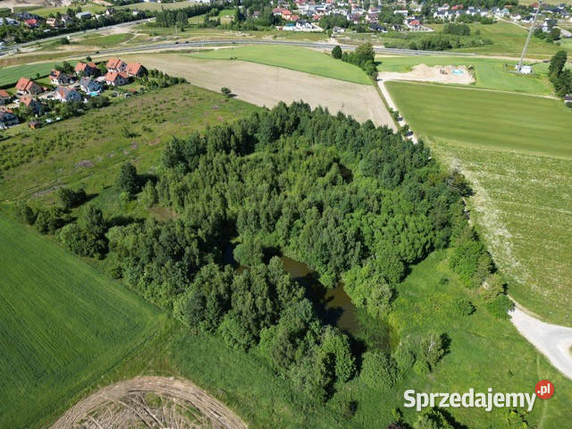 Piękna działka pod siedlisko Gdańsku 8721m2 Glincz