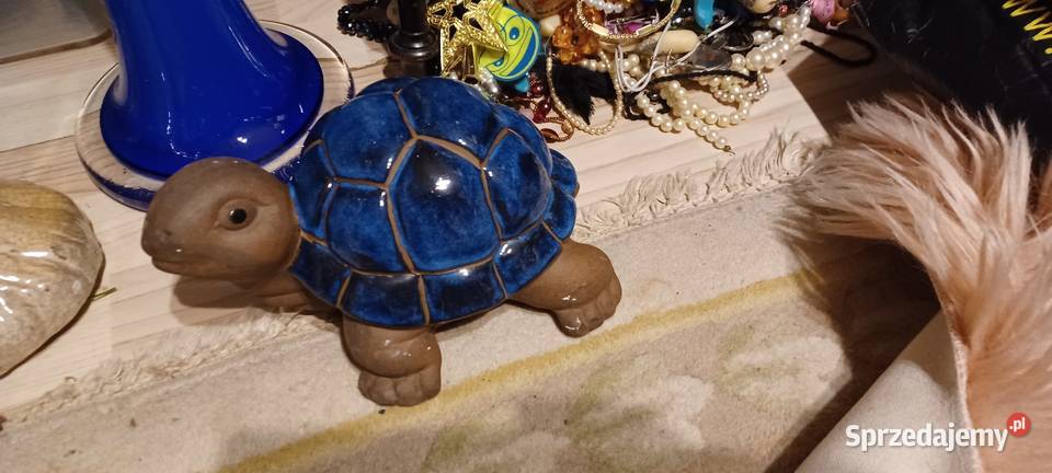 W POZNANIU KUPNO ŻÓLWIA Z GLINY CERAMIKI Środa Wielkopolska