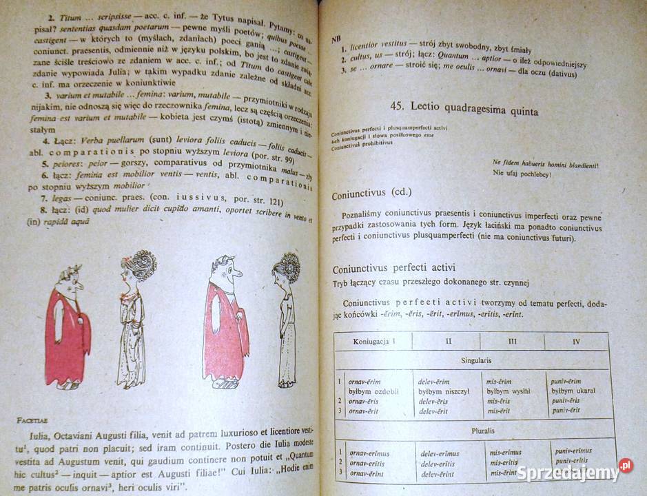 Lingua Latina Łacina bez pomocy Orbiliusza Lidia Chełm sprzedam