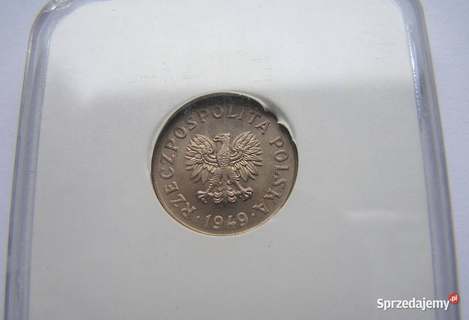 Polska 20 gr 1949 r bz Stan I UNC w slabie GCN wielkopolskie Rydzyna