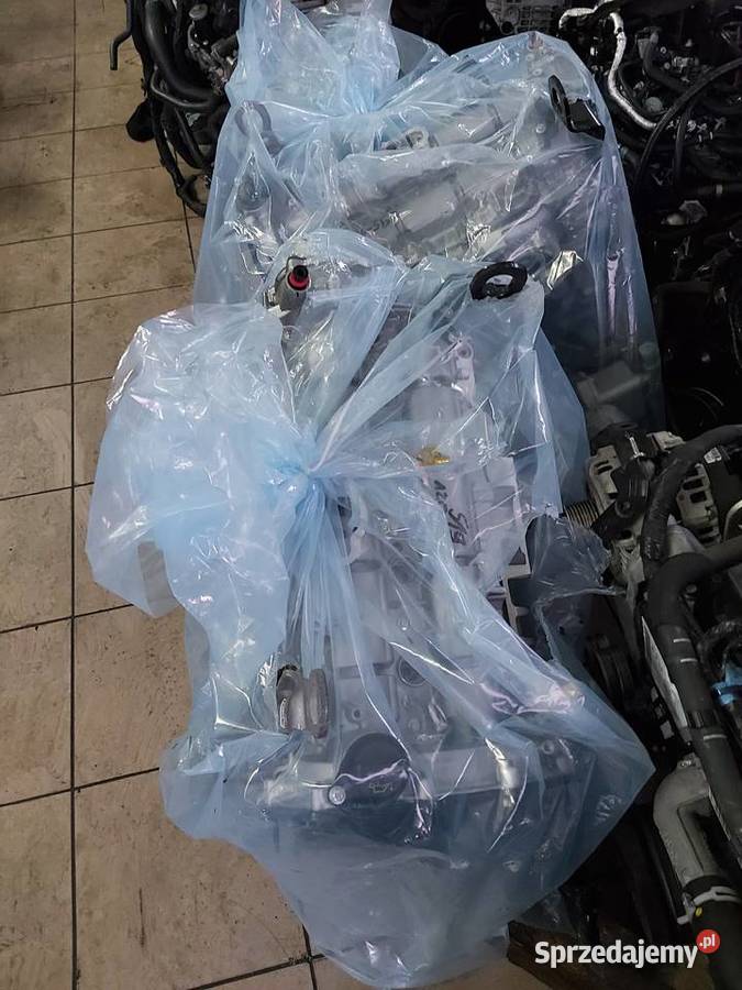 Silnik Ford Custom 20 ecoblue YMFA YMFB YMFS sprzedam