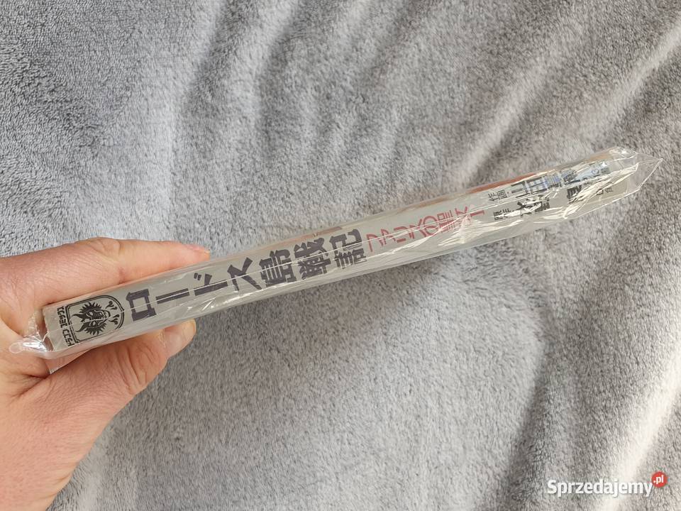 Record of Lodoss Wars The Lady of Pharis Ryo pomorskie Gdynia