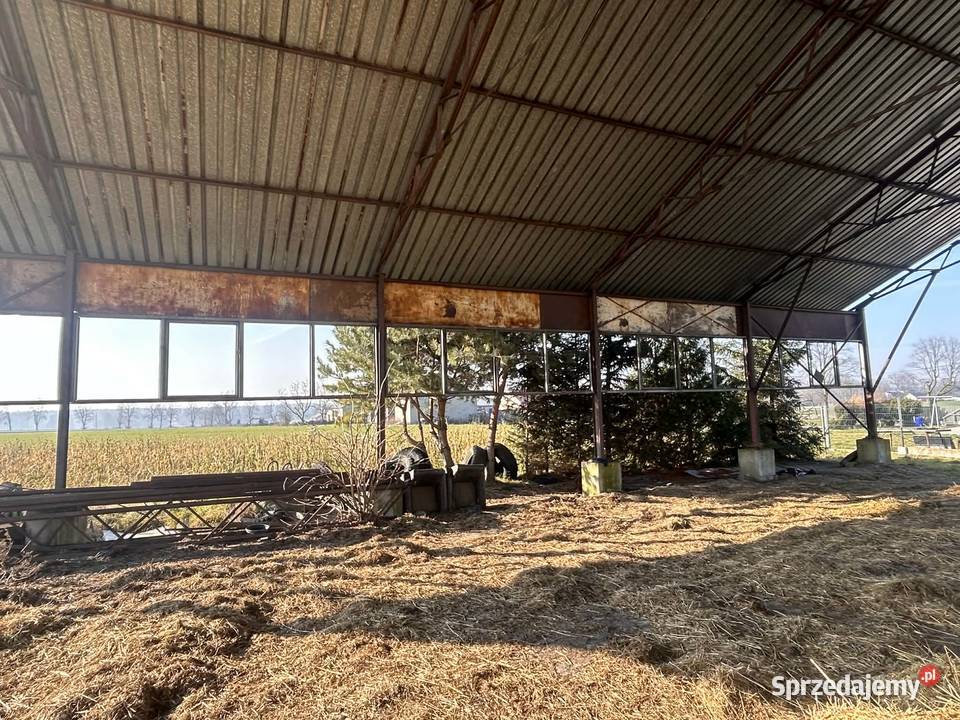 HALA wiata konstrukcja blacha trapez dach 135x25 Hodowla i gospodarstwo Kutno sprzedam