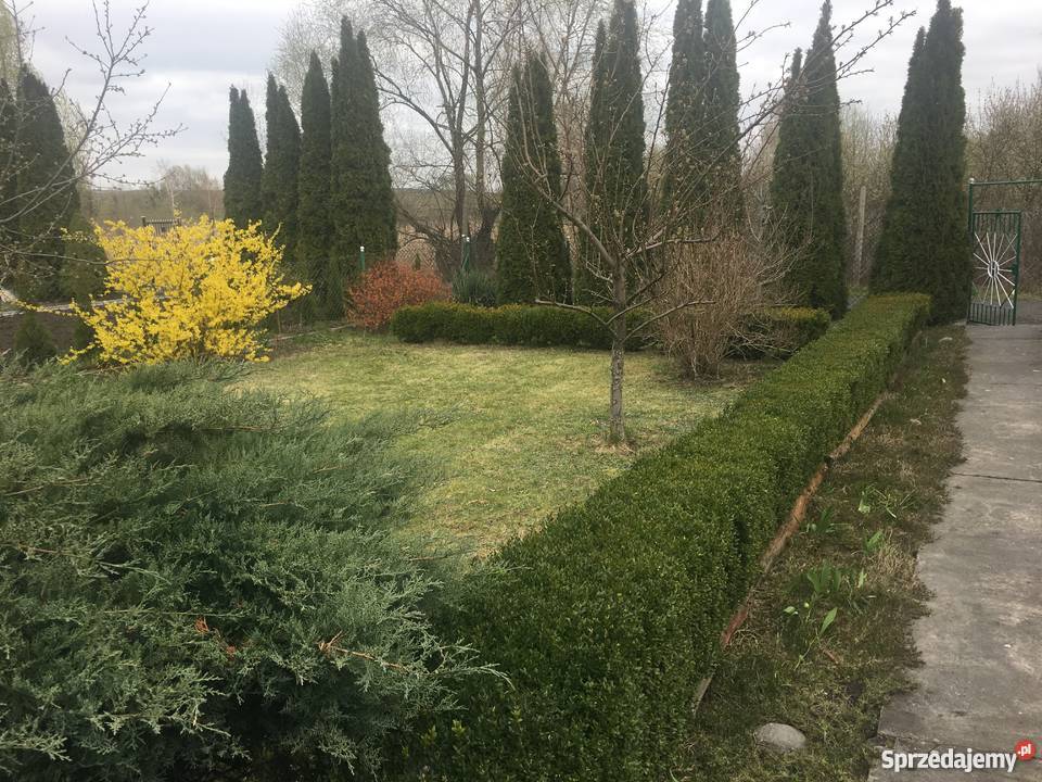 Działka ROD 459m2 z Domkiem Murowanym Tarpno rekreacyjna Grudziądz