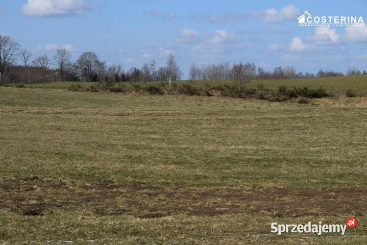 Grunt Bukowina 1159m2 pomorskie sprzedam