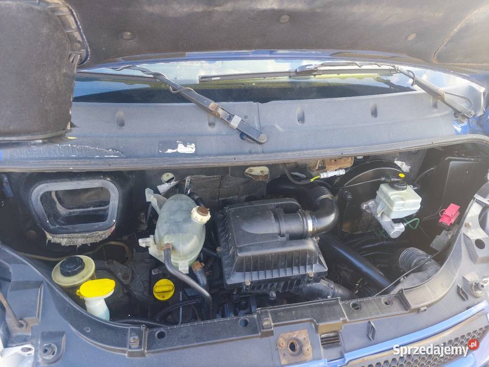 Renault Master Kościerzyna