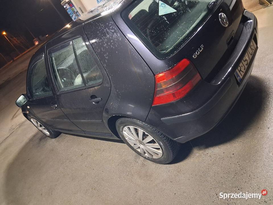 Vw Golf 4 14 16v benzyna Golf Jasło