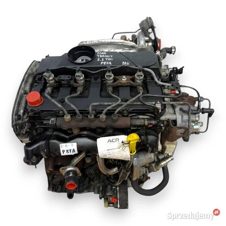 SILNIK P8FA Ford Transit VII MK7 22 TDCI 85 osobowe Silniki kompletne Chełm