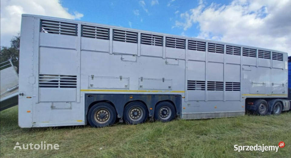 do przewozu zwierząt GrayAdams GADD3 Gray Adams Łaziska Górne