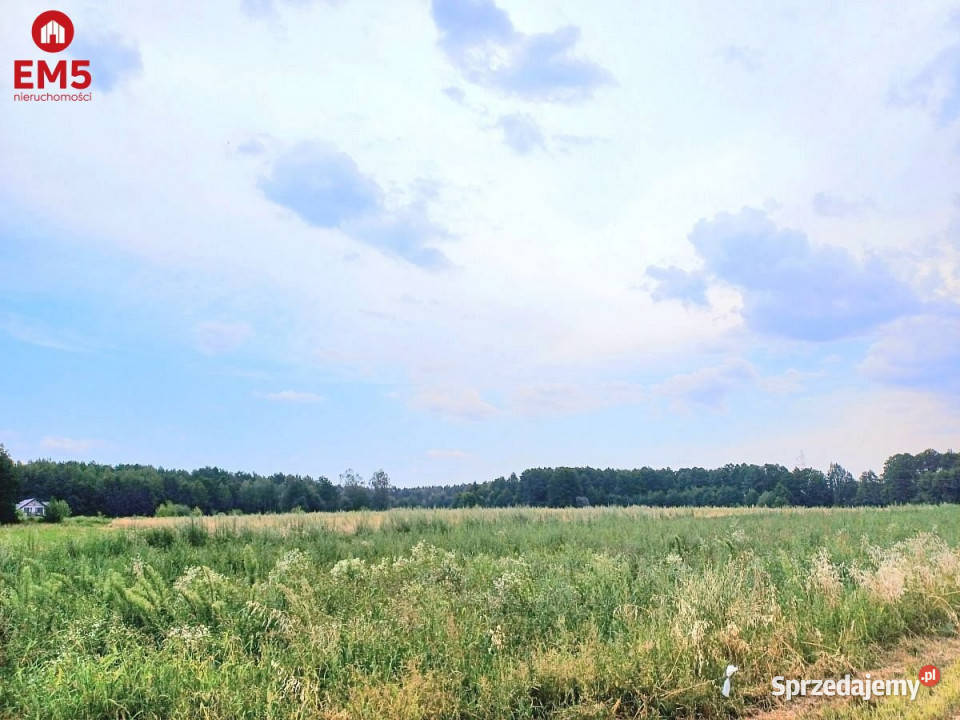 Do sprzedaży działka 5500m2 Dobrzyniewo podlaskie