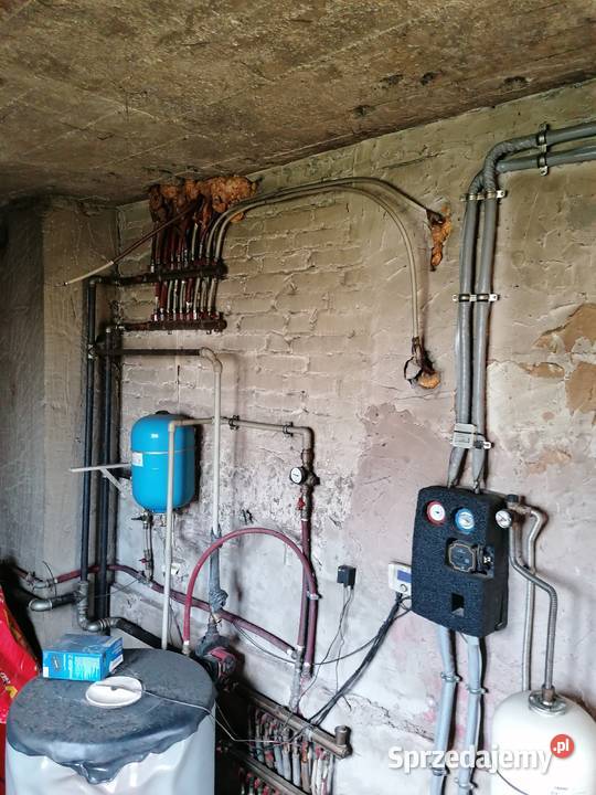 Ozonowanie domów infekcjach i chorobach Kolbuszowa