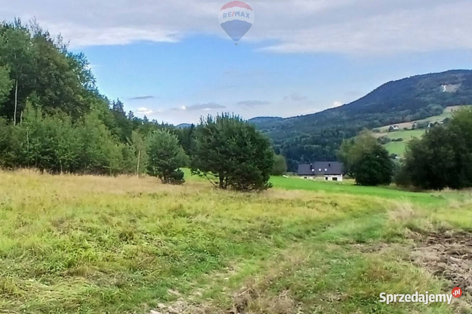 Działka 2100mwydana WZ Stara Wieś budowlana Sprzedaż