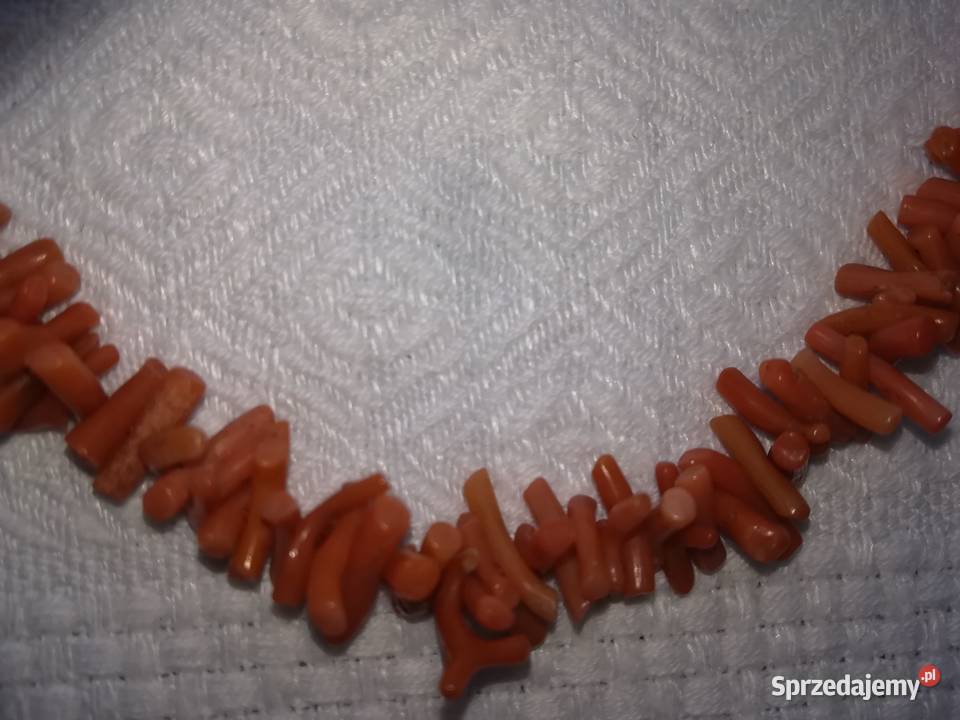 naturalne korale gałązki naszyjnik prawdziwy Naszyjniki