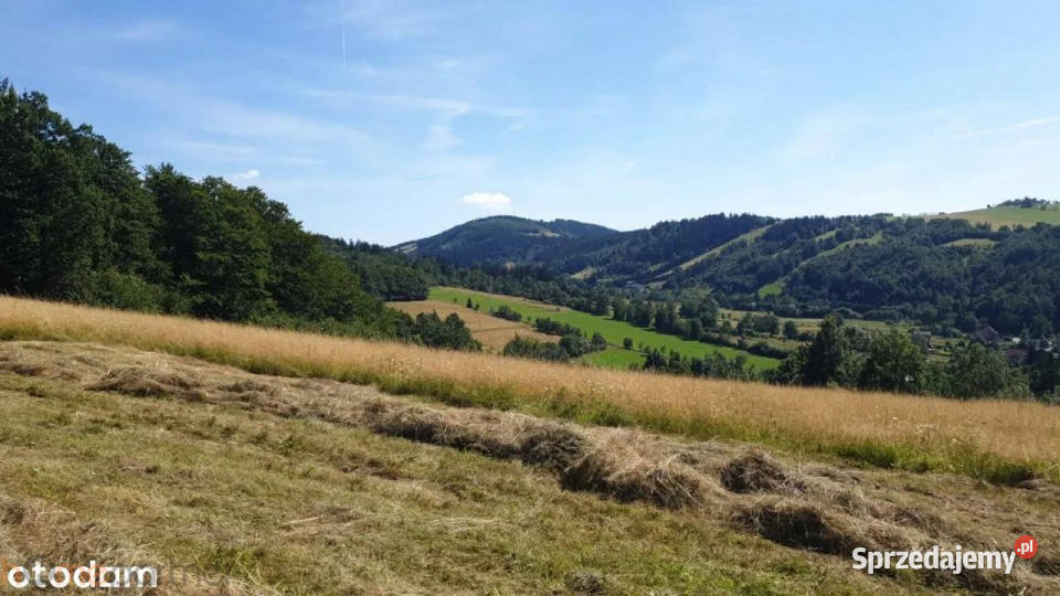 Działkę sprzedam Walim 3566m2