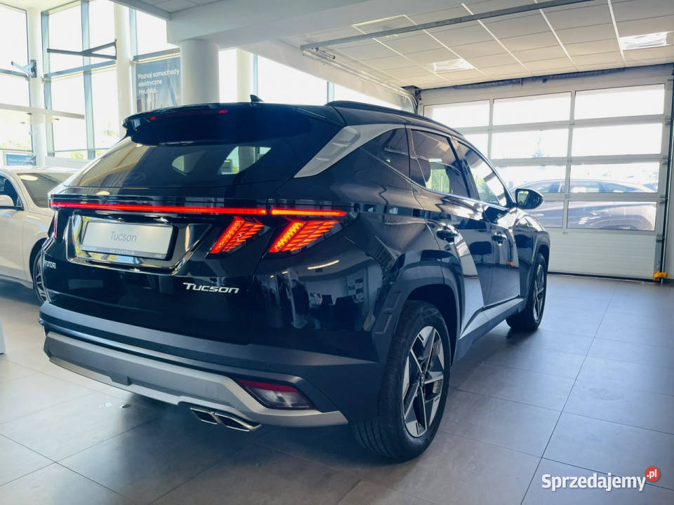 Hyundai Tucson 16 TGDI HEV 6AT 2WD 215 Executive Piotrków Trybunalski sprzedam