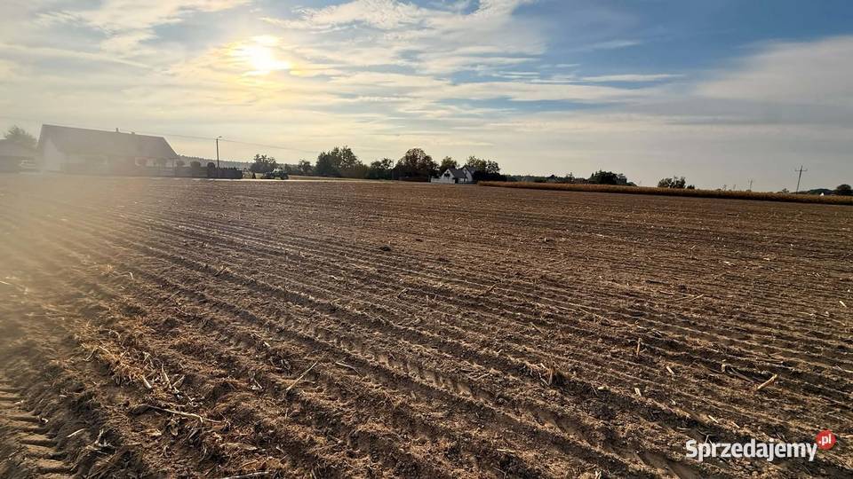 DZIAŁKI BUDOWLANE NA SPRZEDAŻ KOKCZYN PIERWSZY 115zł/m2 wielkopolskie