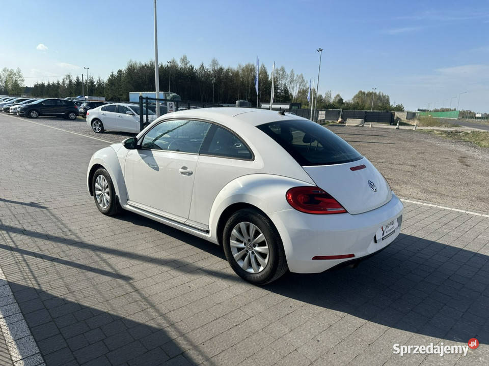 Volkswagen Beetle Lipówki