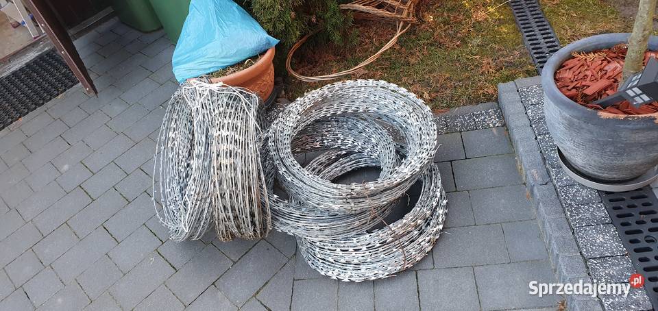 Concertina Drut żyletkowy Szczebrzeszyn