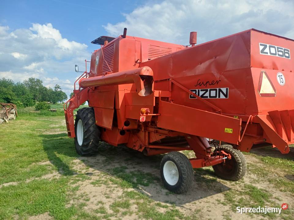 Bizon z056 podkarpackie Czarna