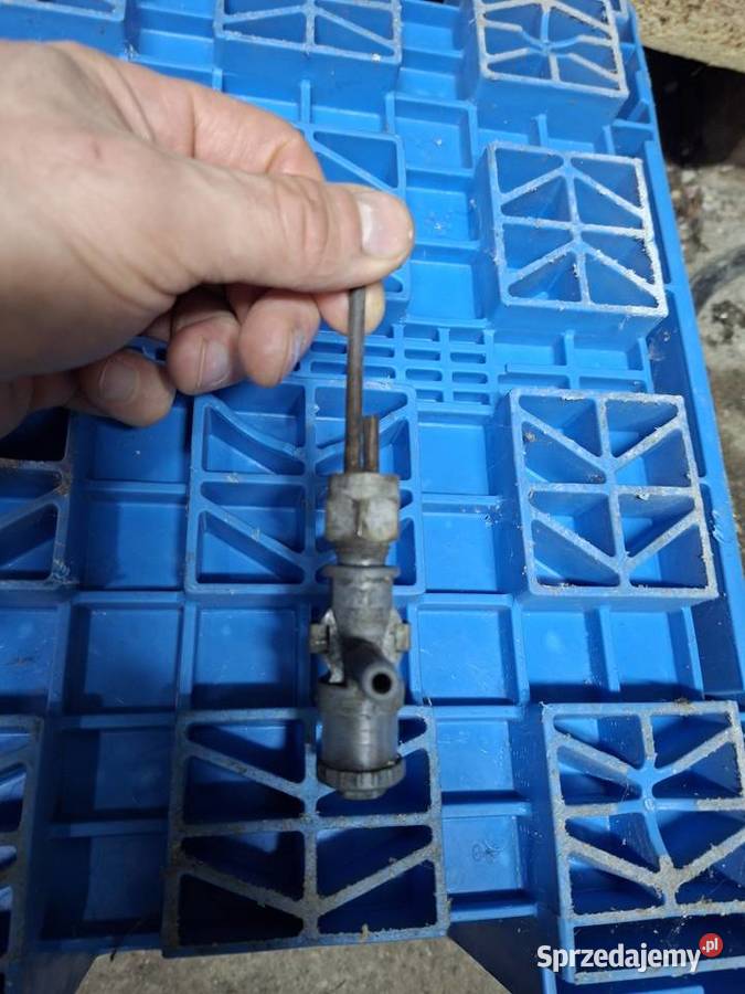 Kranik Wsk Sport Lelek Dudek Bąk Kraniki Koszalin