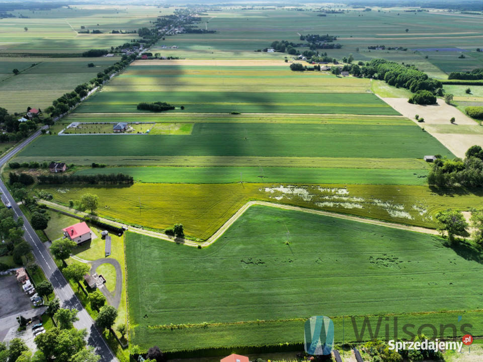 Dom wolnostojący 100m2 Nowa Brzeźnica Sprzedaż