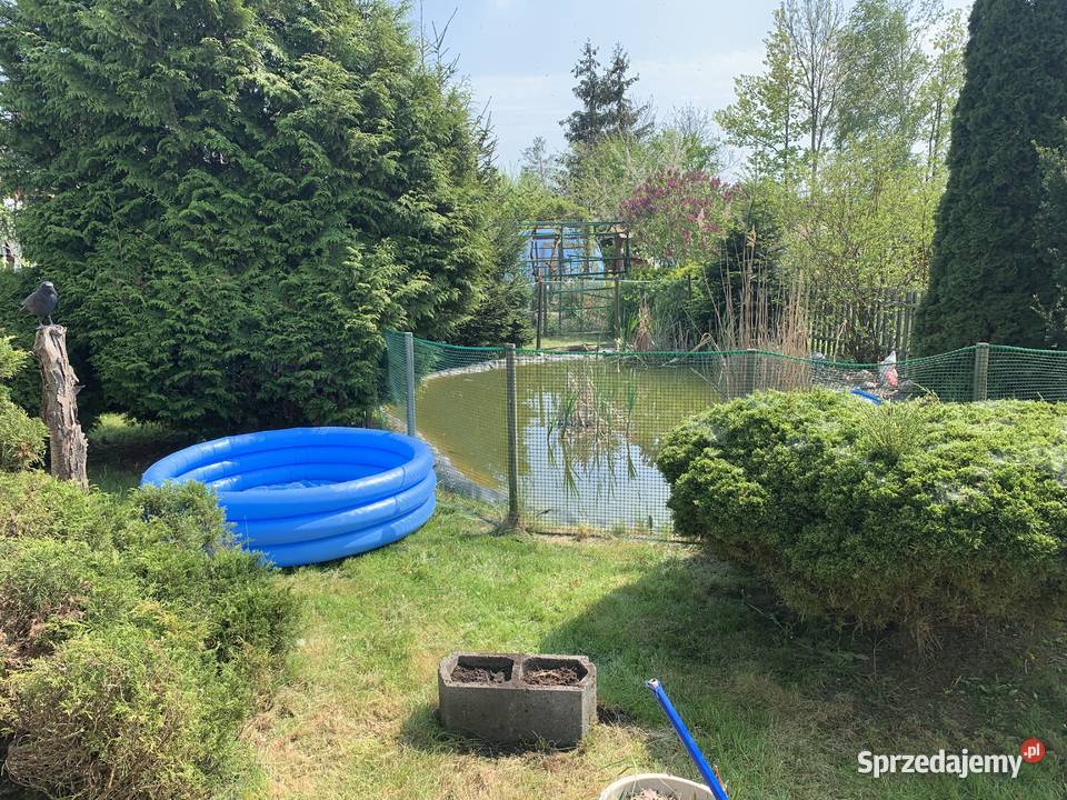 ROD Nadwiślański mazowieckie Płock