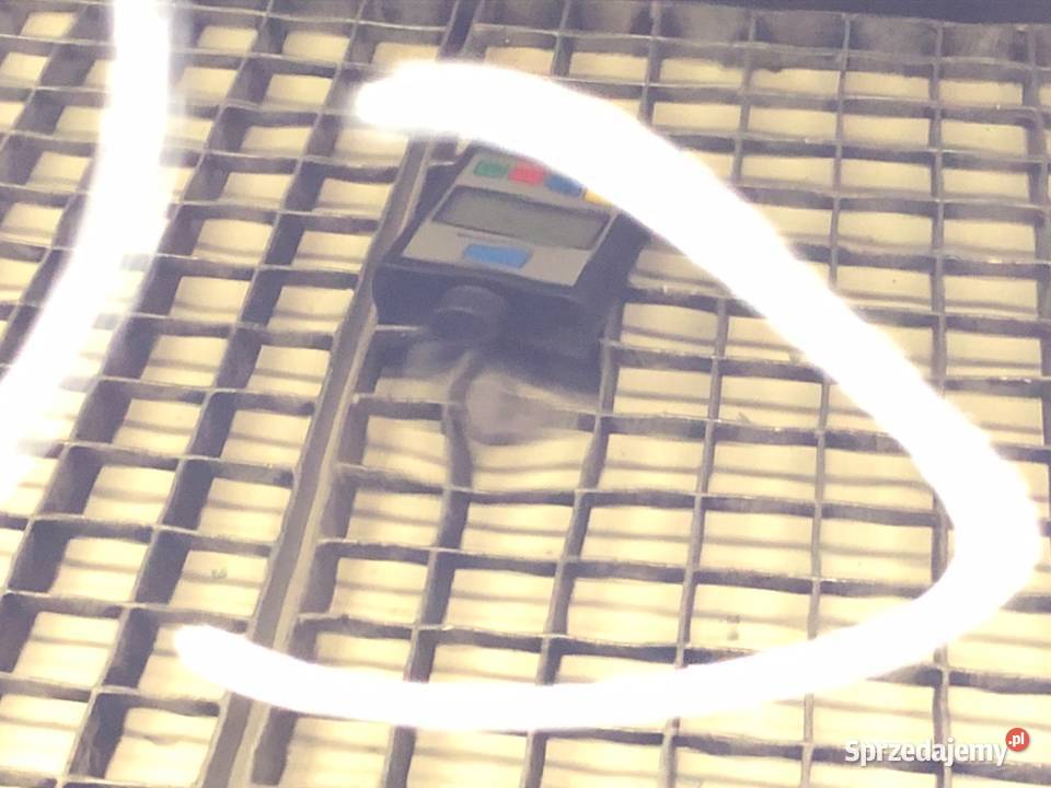 DRZWI LEWY PRZÓD CITROEN C2 Hatchback 0317 osobowe