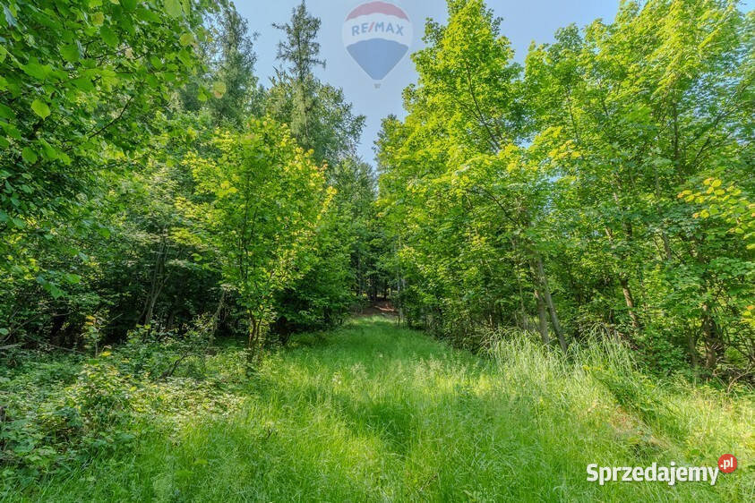 Działka leśna Rzyki małopolskie