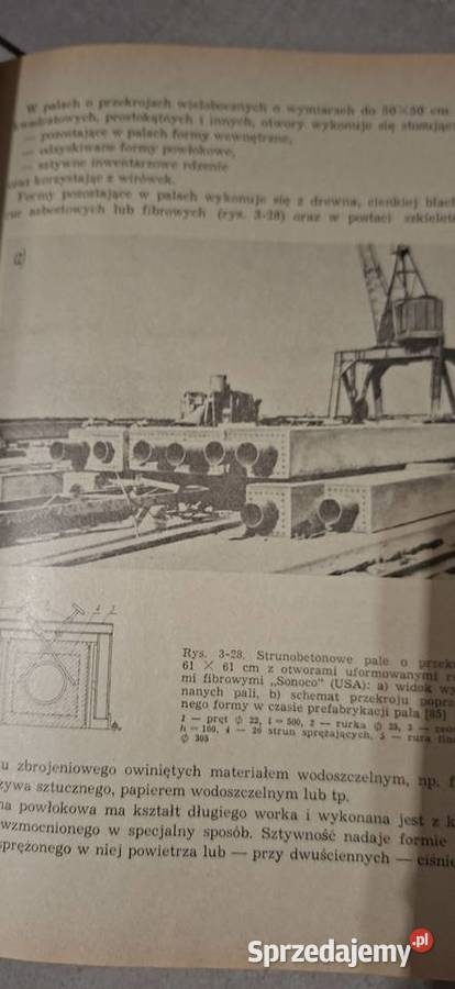 Pale i fundamenty palowe wyjątkowo rzadkie I Łęczyca