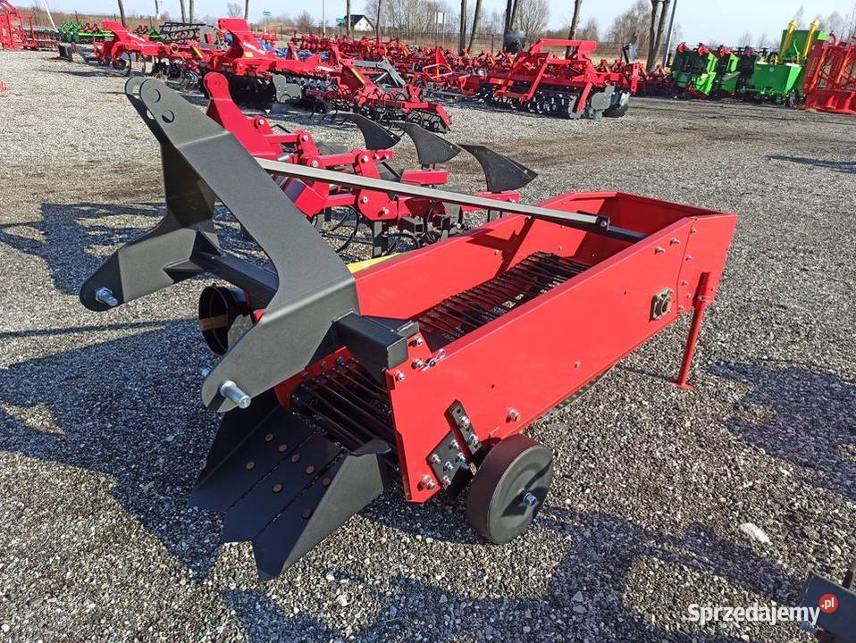 Kopaczka do warzyw i ziemniaków elewatorowa Szczytno