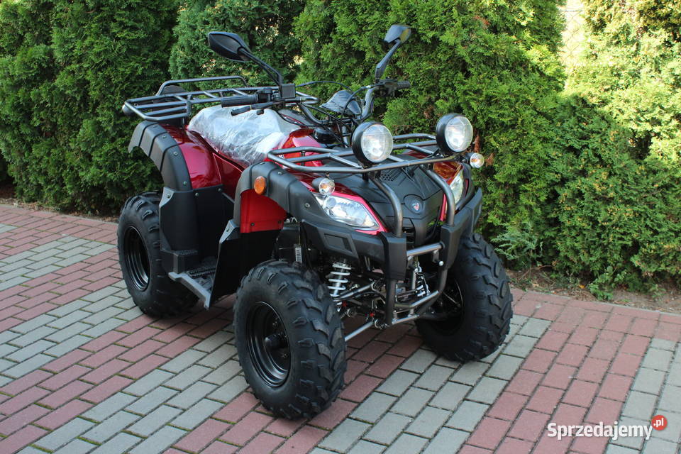Quad na dużej ramie 200 automat koła 10 Rok produkcji 2020 Goleniów sprzedam